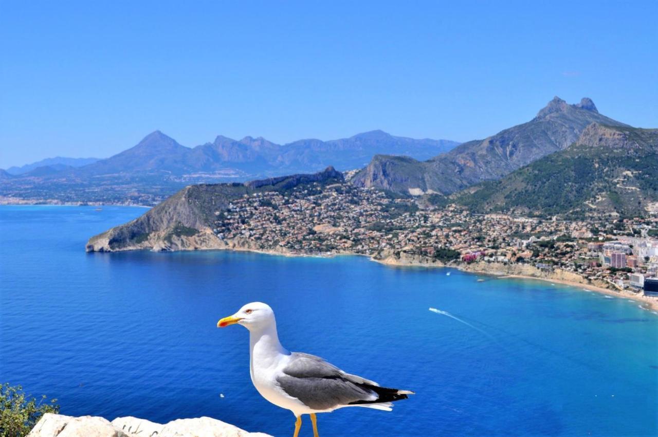 Acan0306 Calp Dış mekan fotoğraf